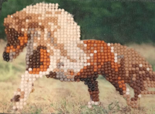 paard daimond.jpg