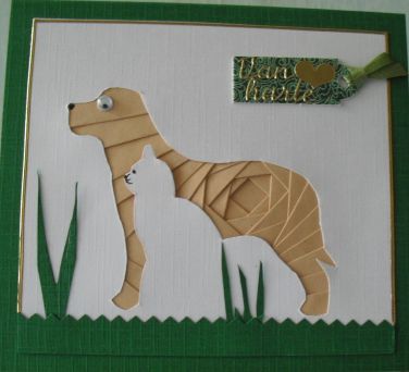 hond en kat.jpg